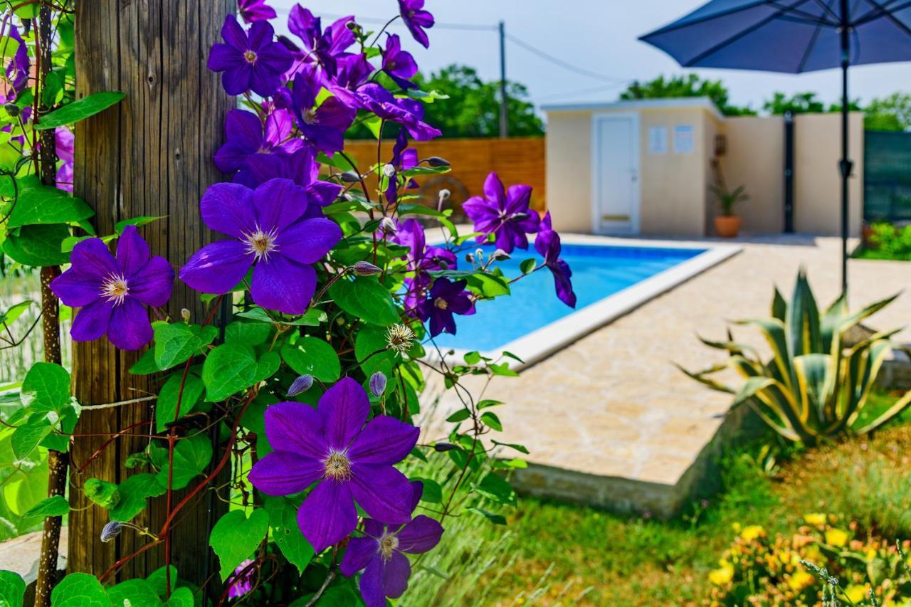 Villa Sunny House Smokovic Exterior foto